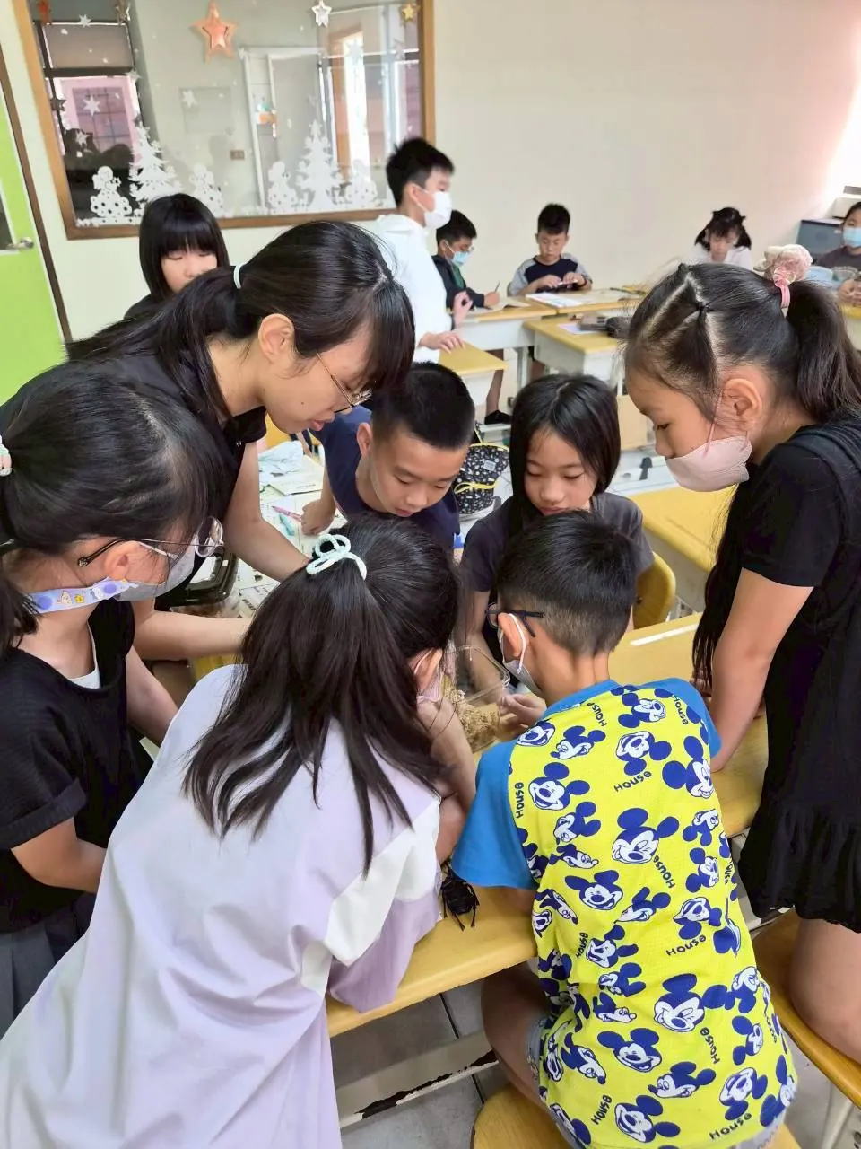 學生近距離探索甲蟲